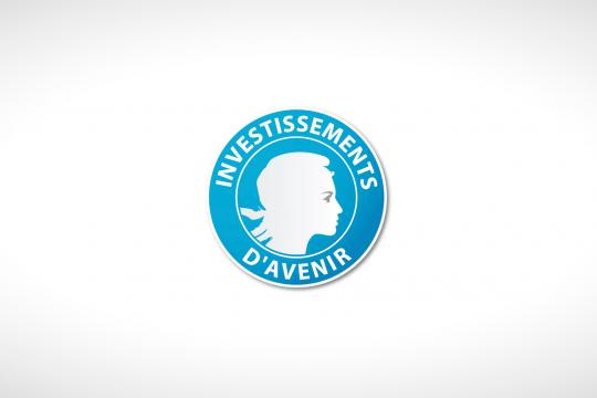 Logo Investissements d'avenir